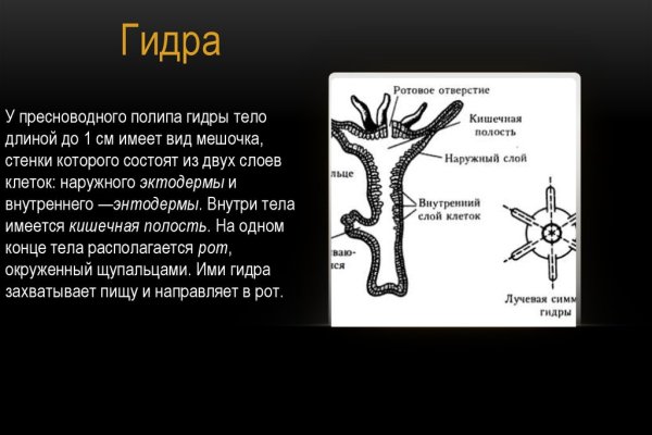 Как зарегистрироваться в кракен в россии