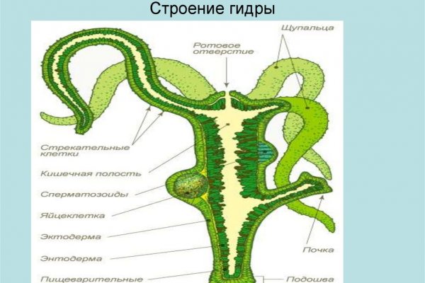 Кракен вход официальный сайт